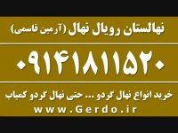 خرید انواع نهال گردو بدون واسطه از نهالستان آرمین قاسمی 09141811520