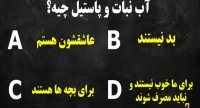 سن عقلی شما چقدر است؟