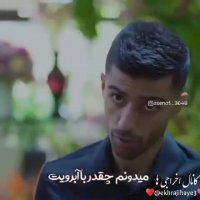 تک پر بودن | متعهد بودن به عشق | کلیپ عاشقانه زیبا | ترانه زیبا
