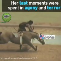 درفدراسیون سواركارى امریكاروزى سه اسب كشته میشوند