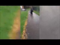 جالب - دانلود کلیپ - شکار لحطه های فوق العاده خنده دار و دیدنی- کوتاه