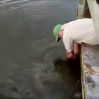 دود از کنده بلند میشه به روایت تصویر