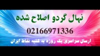فروش عمده نهال گردو 09121270623