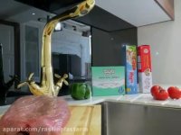 دستکش یکبارمصرف پانیذ