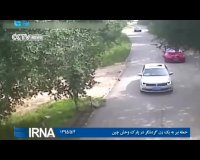 چین - حمله ببر به یک زن گردشگر در پارک حیات وحش