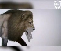 نقاشی در عین واقعیت