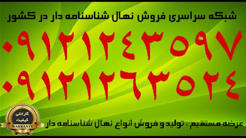 نهال گردو چندلر پیوندی اصلاح شده دیرگل زودبازده پاکوتاه 09121263524