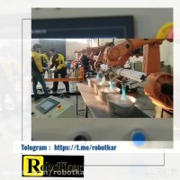 پاشش رنگ رباتیک | رنگ آمیزی لوازم خانگی | نقاشی رباتیک | خط تولید رباتیک