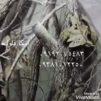 مخمل پاش و چاپ روی اب امگا