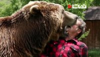 کشتی گرفتن مرد و خرس