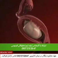 علت اصلی ناباروری چیست؟؟؟