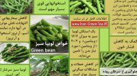 خواص لوبیا سبز