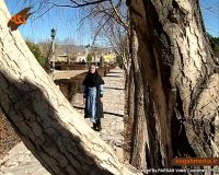 آموزش گردشگری : خشکرود