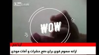 دفع سریع زنبور با سم خارجی واسپ هارنی