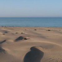 خرید اینترنتی بلیط هواپیما