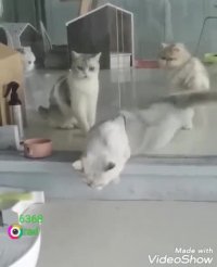 چند میدی رد بشم  صداگذاری طنز یعقوب