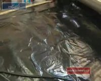 ارزآوری سالانه 5 میلیون دلار به همت کارآفرین یزدی