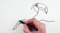 آموزش نقاشی به کودکان : آموزش طراحی پرنده توکان