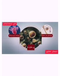 محمد آریانیان