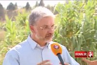 روز ملی یوزپلنگ ایرانی