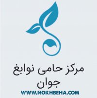 پیمان دالوند مخترع نرم افزار مانیتورینگ امنیتی نرم افزارهای تحت وب
