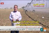 توصیه های هواشناسی کشاورزی 22 شهریور 1399