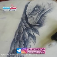 آموزش طراحی تاتو عقاب روی دست