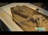 اسکلت زن 7 هزار ساله در تهران