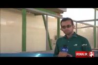 صادرات پسته ارگانیک به اروپا