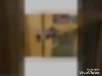 ویلای مرغ - ویلای قرقاول