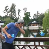 خلاقیت زچ کینگ - قو کاغذی