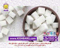 شوری غذا را چگونه بگیریم؟رفع شوری غذا،کیش با تخفیف