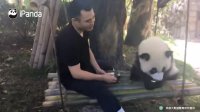 تاب بازی با پاندا کوچولو