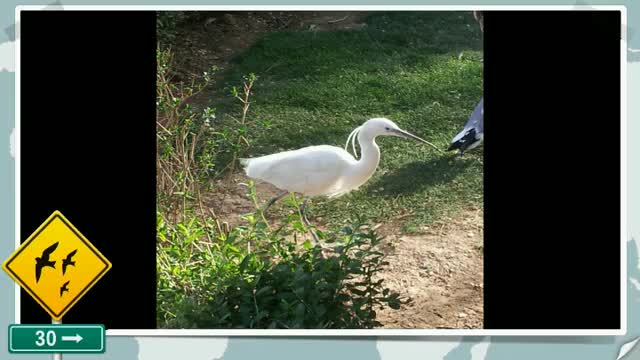 باغ پرندگان اصفهان