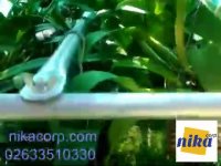 فروش شید سایه بان