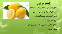آب کردن چربی شکم با این نوشیدنی