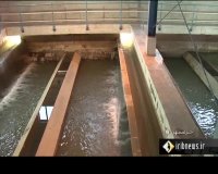 تامین آب شهرهای آبادان و خرمشهر از رودخانه کرخه