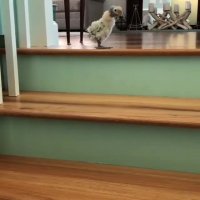 کلیپ طنز کرونا : قرنطینه این نیستا