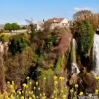 زندگی زیباست
