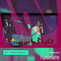 من ب تو دل دادم(ایهام)