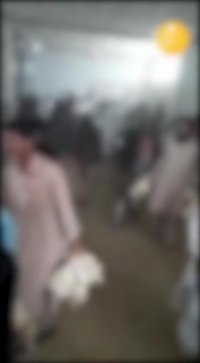 ویدیوی هجوم مردم به یک مرغداری در نیکشهر