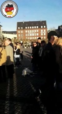 هوای بهاری دوسلدورف در فوریه 2019 - Migrate germany