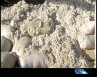 مشکلات پنبه کاران زرین دشت