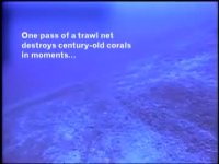 تخریب اکوسیستم با شکار از کف دریا