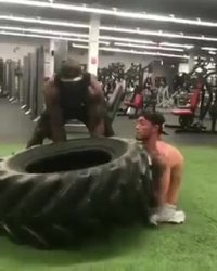 معلولیت محدودیت نیست!