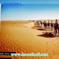 پوستر دیواری سه بعدی طبیعت شیک و زیبا