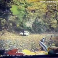 بارانی از جنس برگ