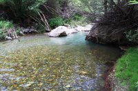 طبیعت روستای سرهه