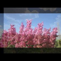 طبیعت زیبا و چهار فصل بیجار کردستان