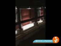 حمله سه خرس به فروشگاه